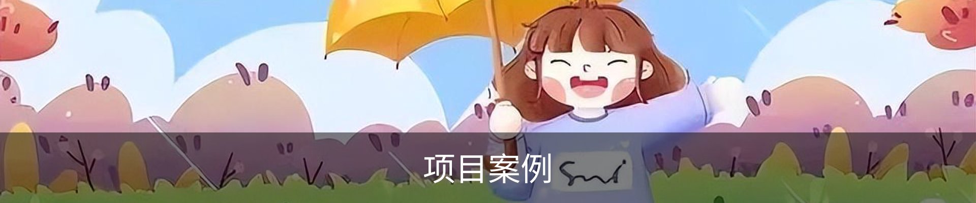 项目案例